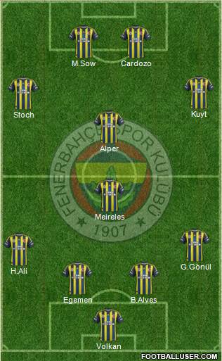 Fenerbahçe SK Formation 2013