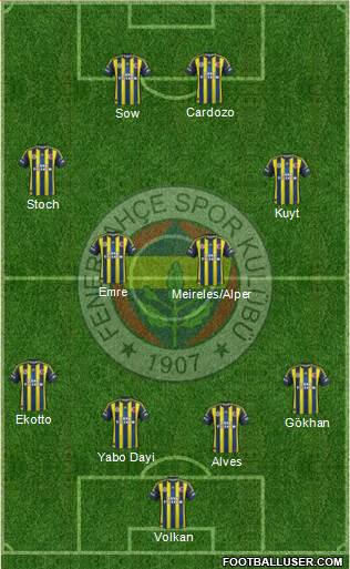 Fenerbahçe SK Formation 2013