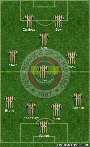 Fenerbahçe SK Formation 2013
