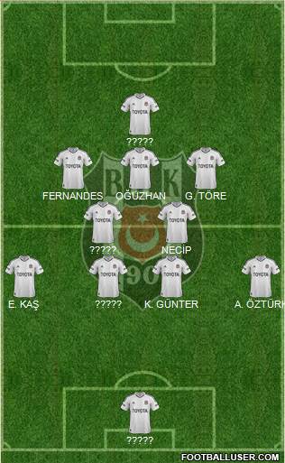 Besiktas JK Formation 2013