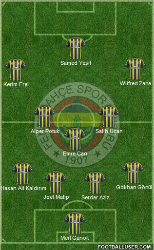 Fenerbahçe SK Formation 2013