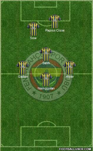 Fenerbahçe SK Formation 2013