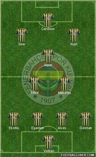 Fenerbahçe SK Formation 2013