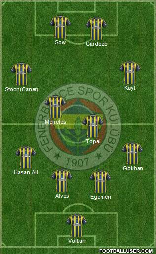 Fenerbahçe SK Formation 2013