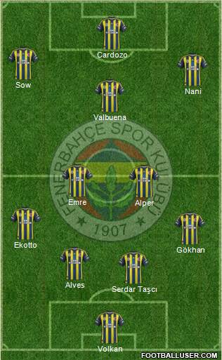 Fenerbahçe SK Formation 2013