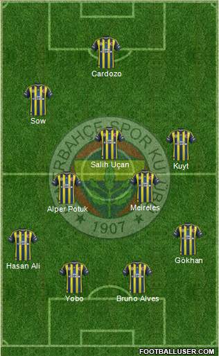 Fenerbahçe SK Formation 2013