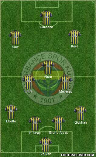 Fenerbahçe SK Formation 2013