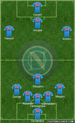 Napoli Formation 2013