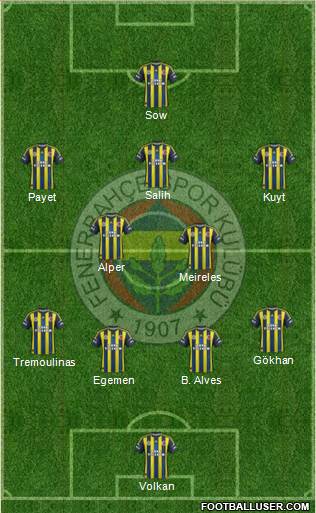 Fenerbahçe SK Formation 2013