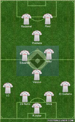 Hamburger SV Formation 2013