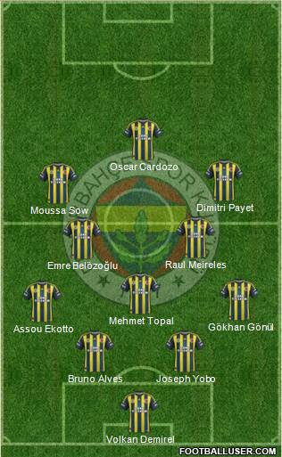 Fenerbahçe SK Formation 2013
