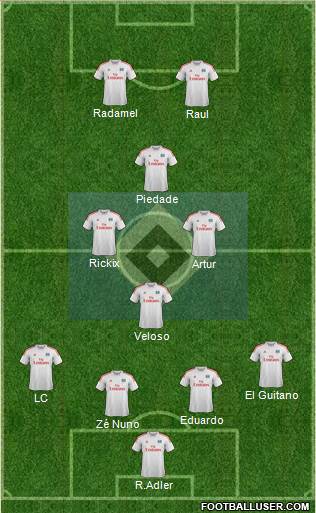 Hamburger SV Formation 2013