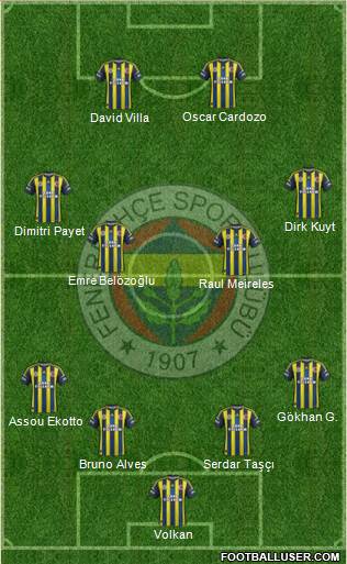Fenerbahçe SK Formation 2013