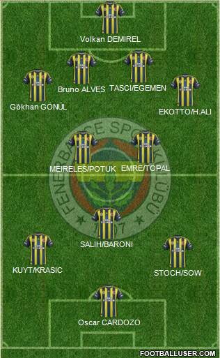 Fenerbahçe SK Formation 2013