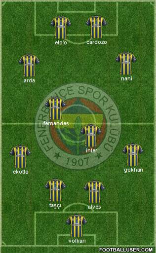 Fenerbahçe SK Formation 2013