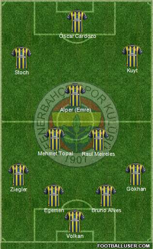 Fenerbahçe SK Formation 2013