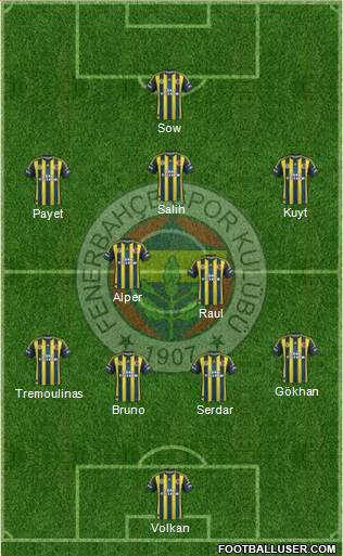 Fenerbahçe SK Formation 2013