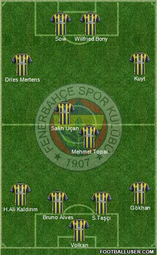 Fenerbahçe SK Formation 2013