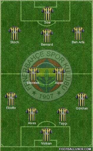 Fenerbahçe SK Formation 2013