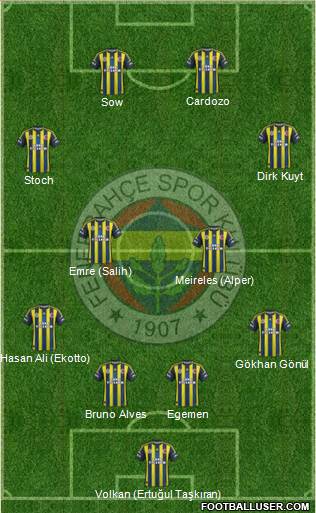 Fenerbahçe SK Formation 2013