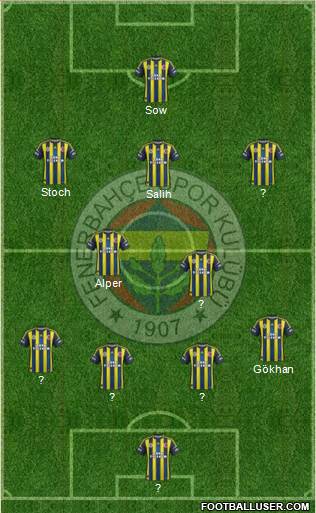 Fenerbahçe SK Formation 2013