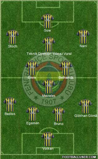 Fenerbahçe SK Formation 2013