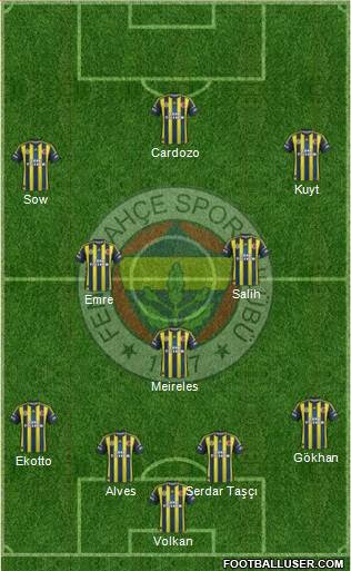Fenerbahçe SK Formation 2013