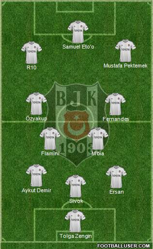 Besiktas JK Formation 2013