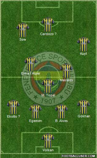 Fenerbahçe SK Formation 2013