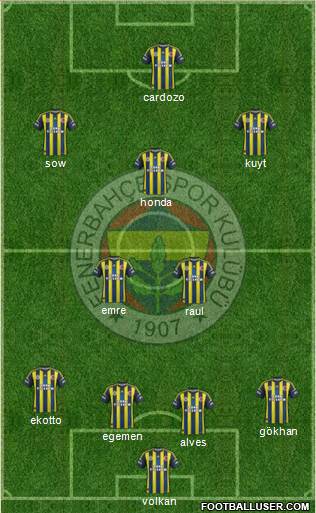 Fenerbahçe SK Formation 2013