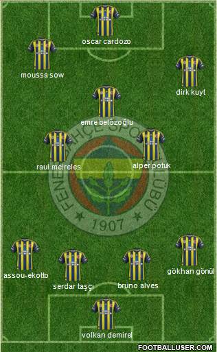 Fenerbahçe SK Formation 2013