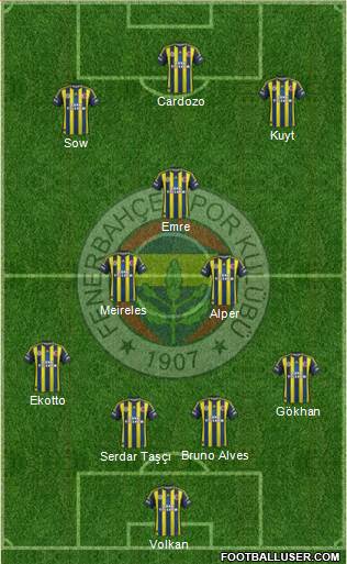 Fenerbahçe SK Formation 2013