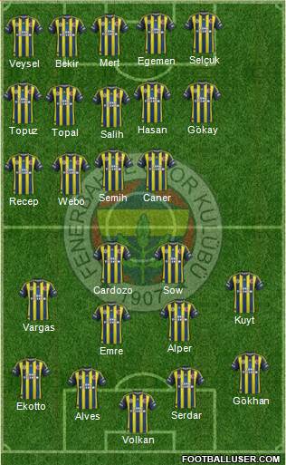 Fenerbahçe SK Formation 2013