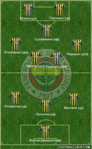 Fenerbahçe SK Formation 2013