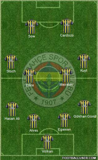 Fenerbahçe SK Formation 2013