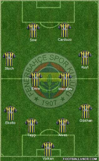 Fenerbahçe SK Formation 2013