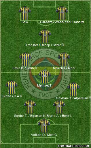 Fenerbahçe SK Formation 2013