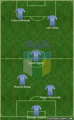 CD O'Higgins de Rancagua S.A.D.P. Formation 2013