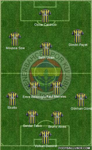 Fenerbahçe SK Formation 2013