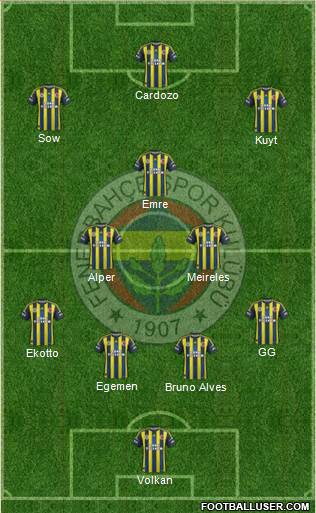 Fenerbahçe SK Formation 2013