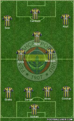 Fenerbahçe SK Formation 2013
