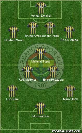 Fenerbahçe SK Formation 2013