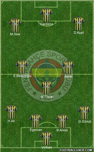Fenerbahçe SK Formation 2013