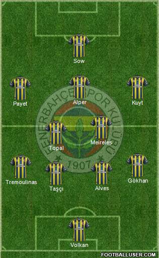 Fenerbahçe SK Formation 2013