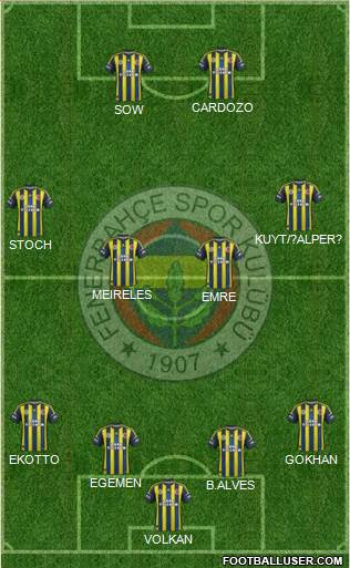 Fenerbahçe SK Formation 2013