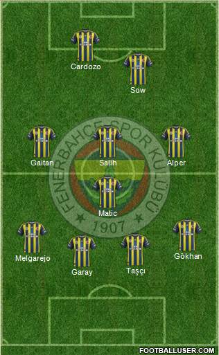 Fenerbahçe SK Formation 2013