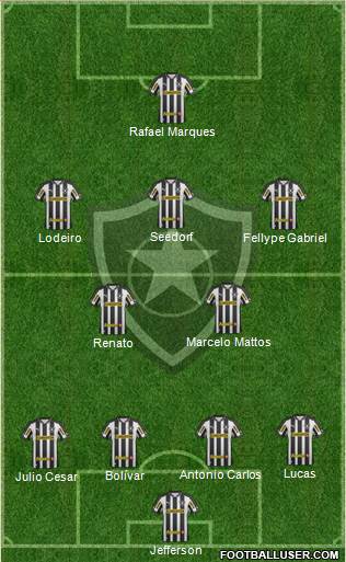 Botafogo FR Formation 2013