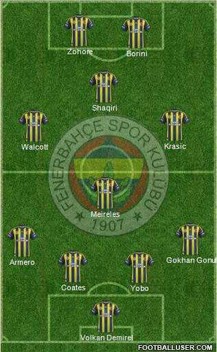 Fenerbahçe SK Formation 2013