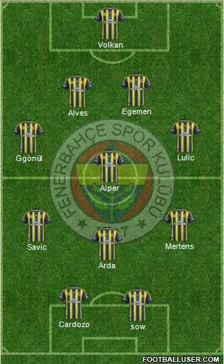 Fenerbahçe SK Formation 2013