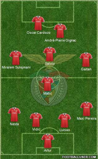 Sport Lisboa e Benfica - SAD Formation 2013
